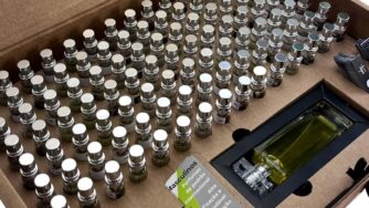 Revenda de perfumes para iniciantes